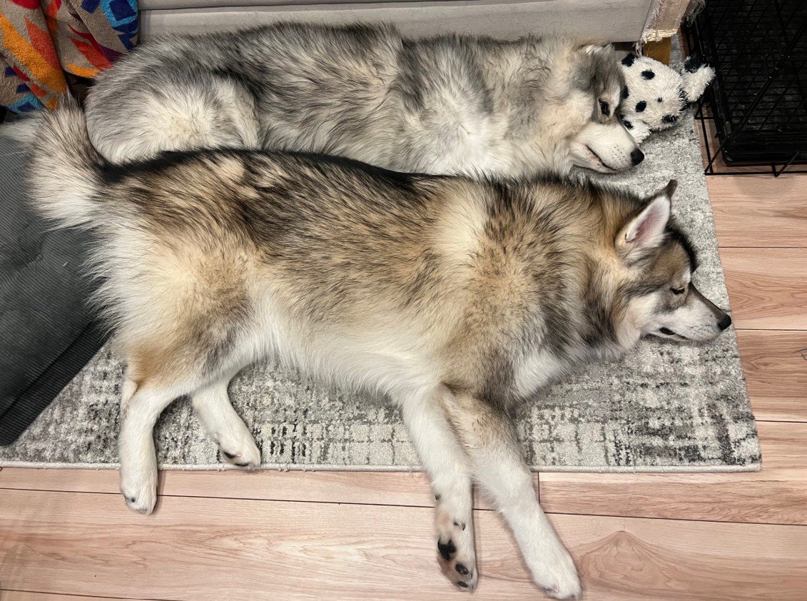 とっても仲良し♡