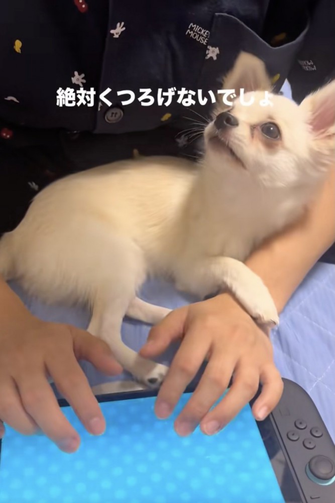 「どしたん？」