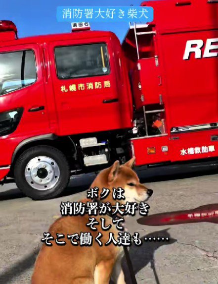 訓練をじっと見学