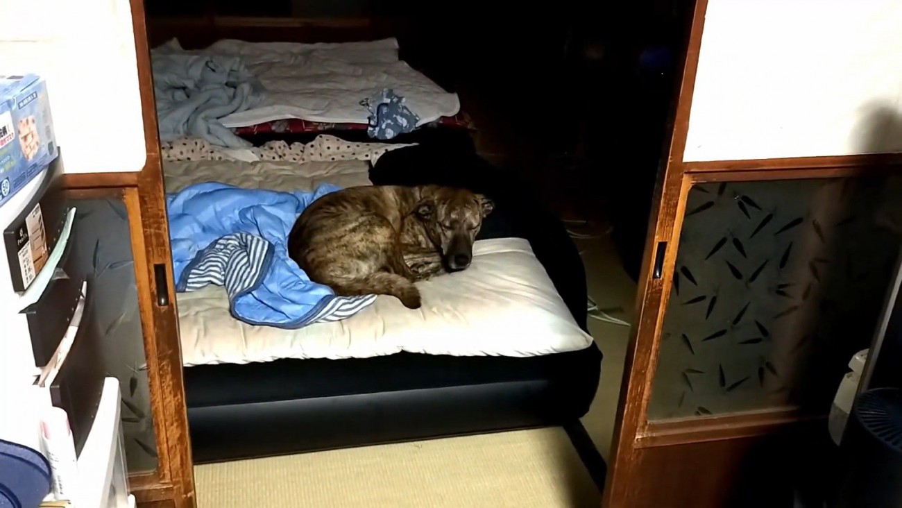 まさかの場所にいたりゅうさん⑩