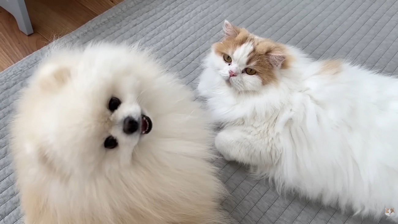 今日も仲良し♪