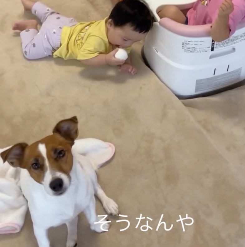 ママの話を真剣に聞きます