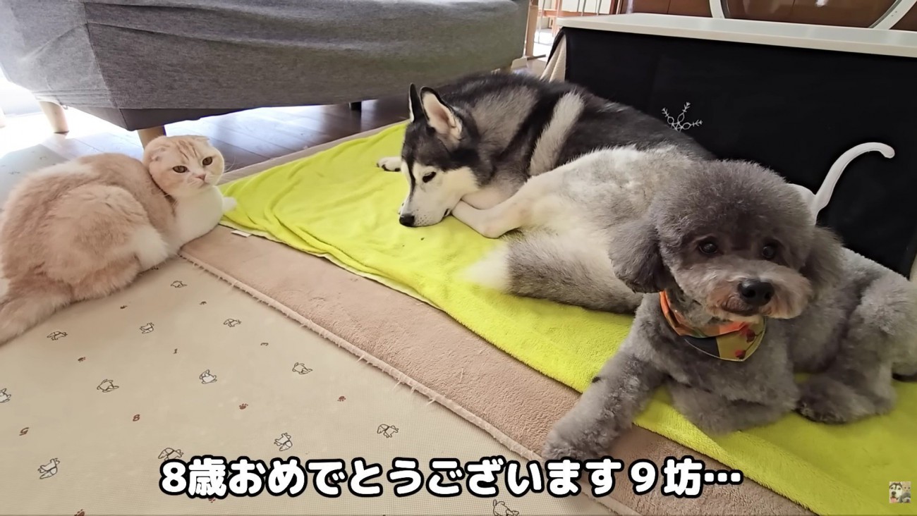 これからも幸せにね！！