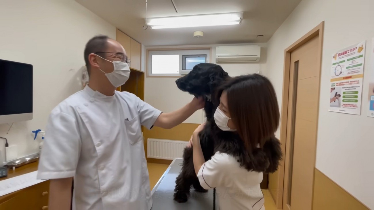 「何やるつもりなの…！？」