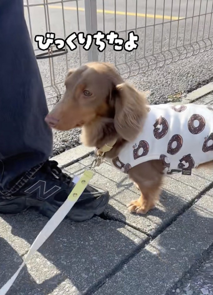 「はこんじゃった…」