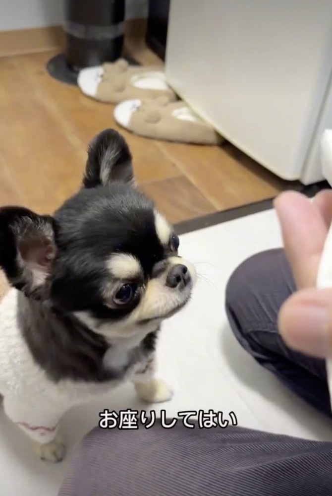 お薬の時間です