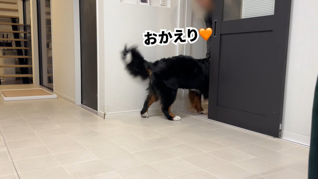 ついにパパさんが帰宅！