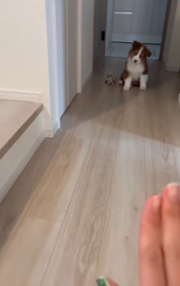 さらに首をかしげるアンディ君