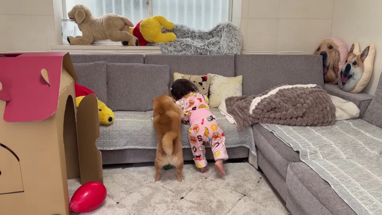 第2ラウンドが開始！！