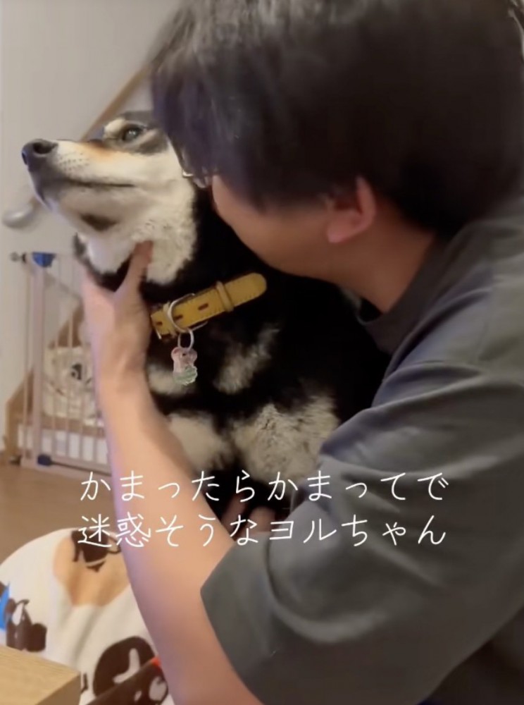 構ってもらえて…迷惑そう？