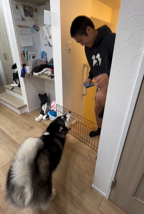 犬とお兄ちゃん