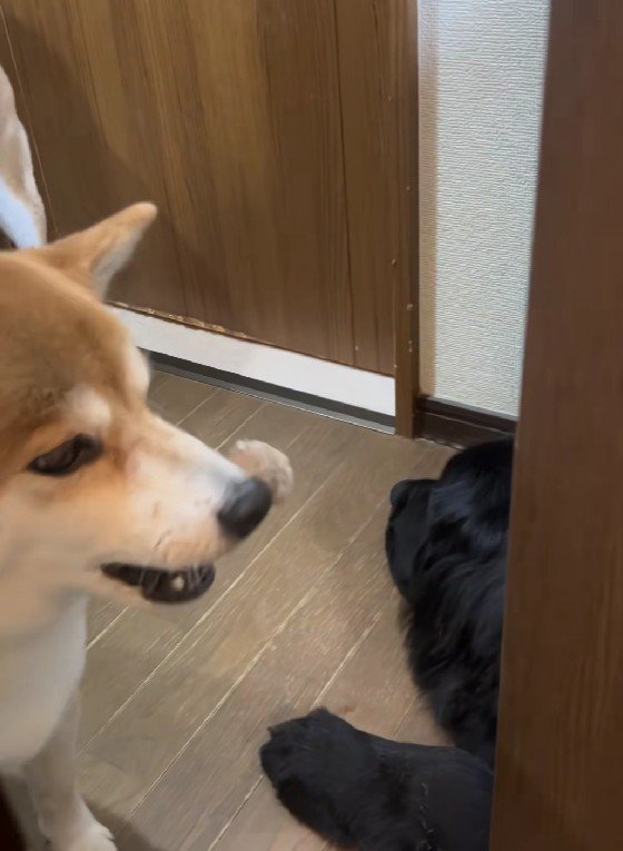 思わずため息が出る…