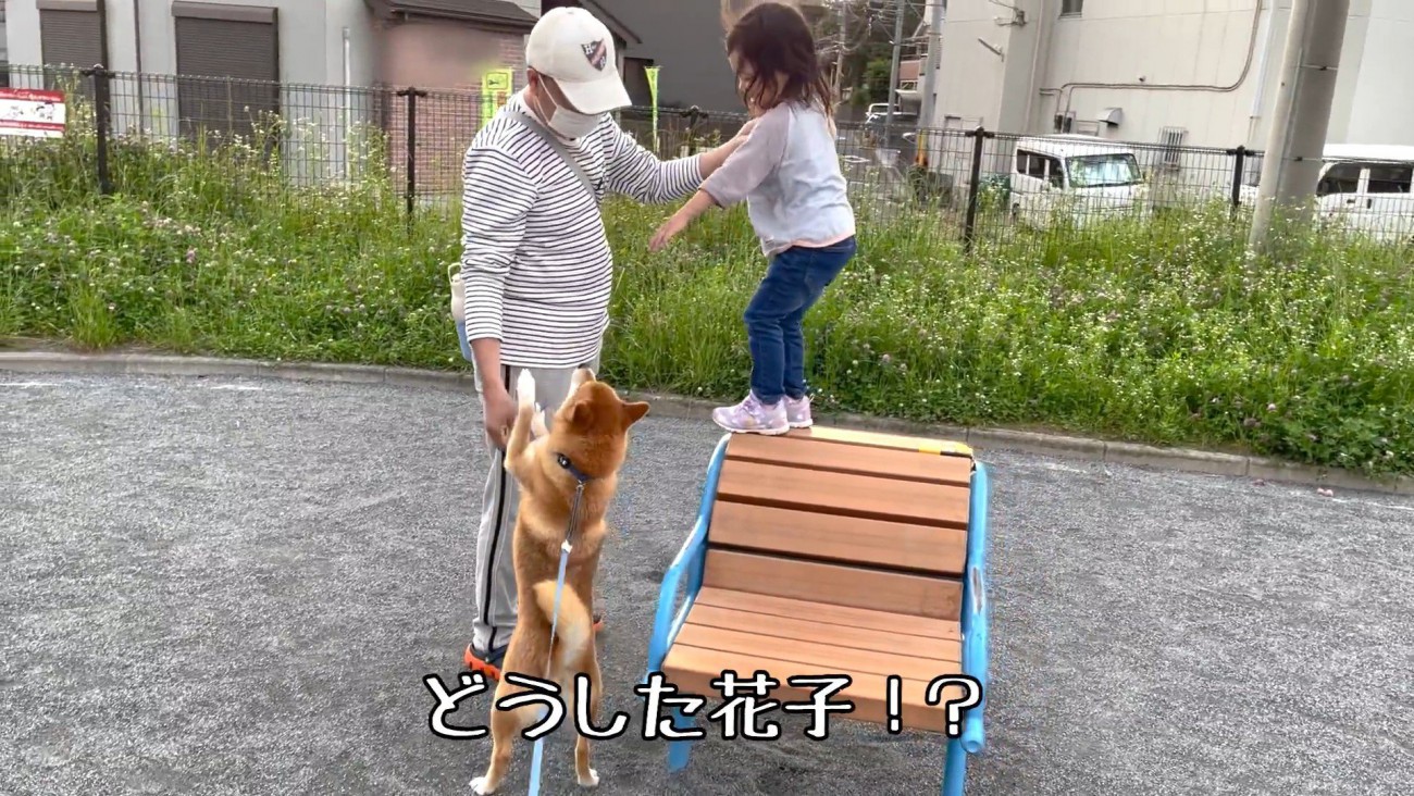 「危ないから降ろして！」