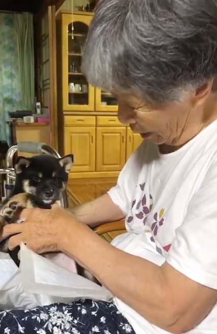 微笑ましいふたり