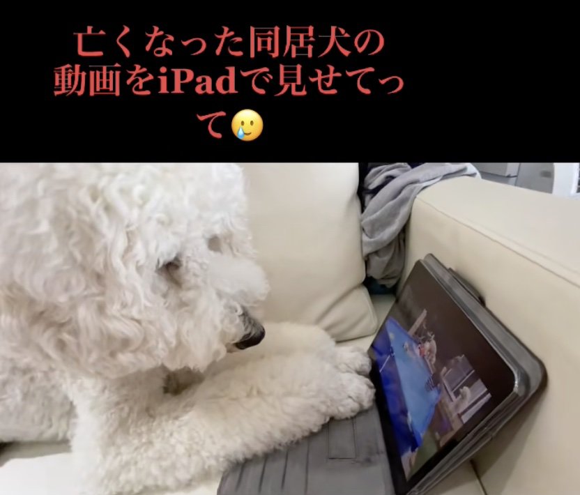 今でも寂しいよね