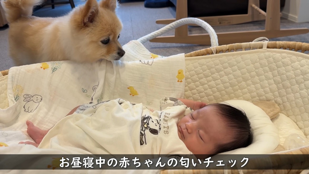 お昼寝中も気にかけてくれます