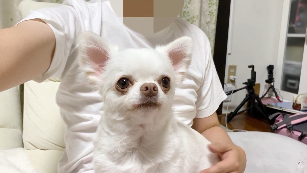 ママさんが先に寝ようとしたら…