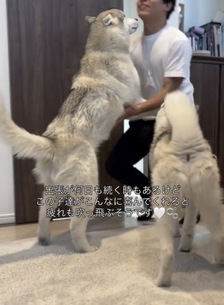 パパのこと、大好きすぎる！