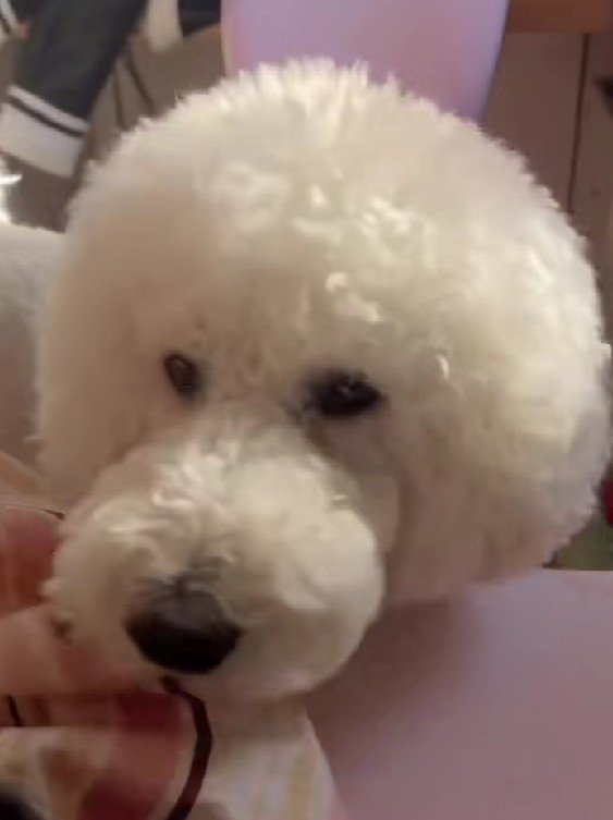 「そろそろ起きてね」