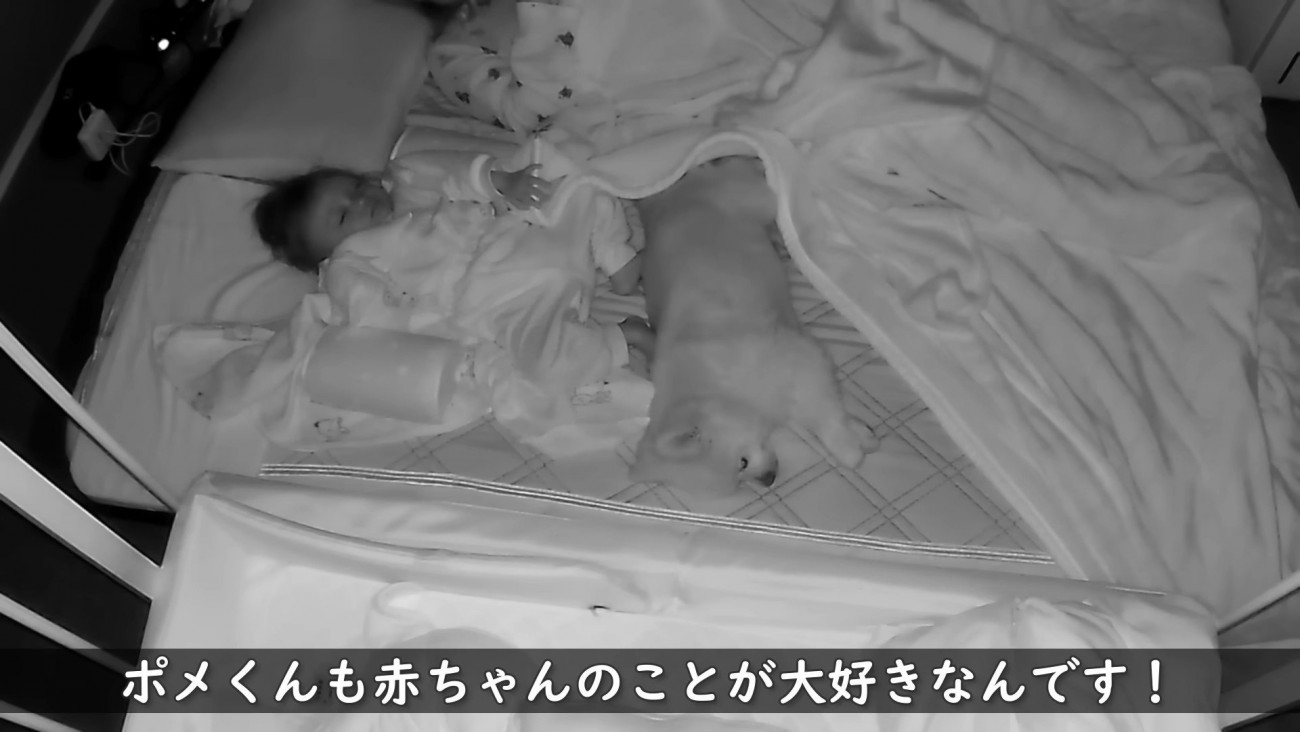 足元ですやすや…♪