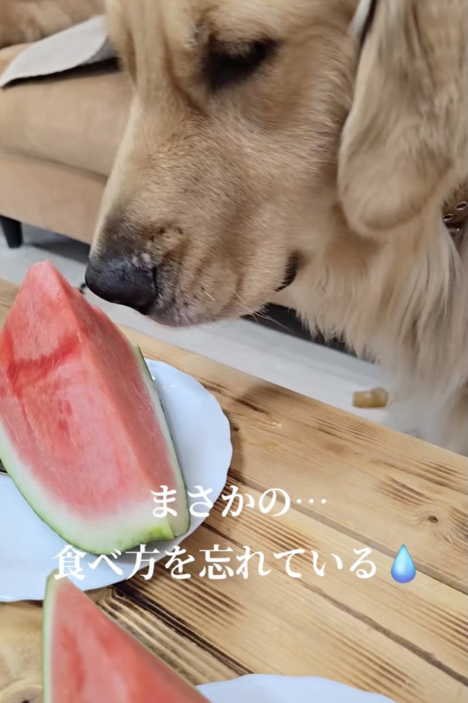 久しぶりすぎるもんね！