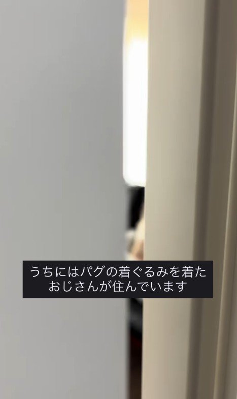 人間のように座るまめぞう君