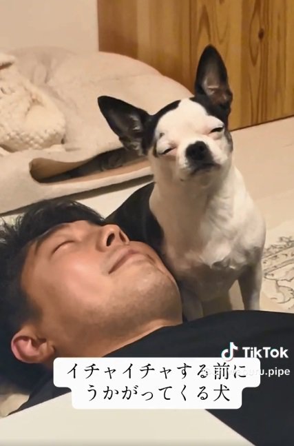 目をシパシパさせるピペちゃん