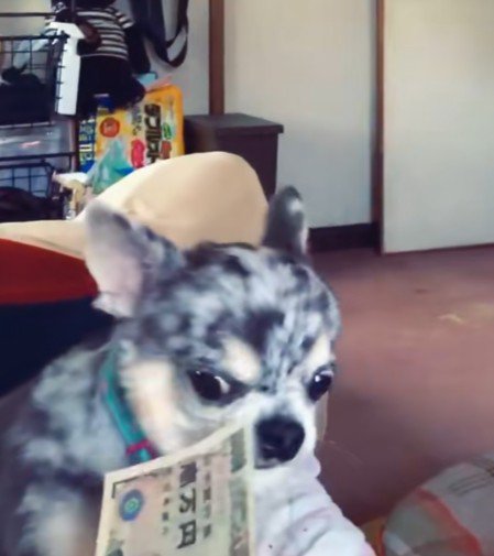 「ふむ…そういうことか」