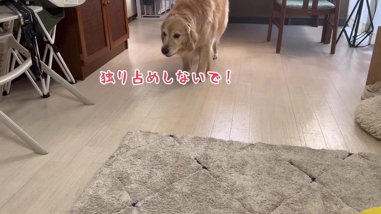 おからちゃんが援軍！！