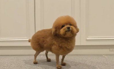 メリハリ効きすぎてる…！