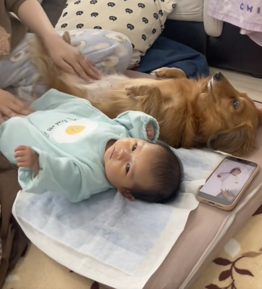 歌はポップで楽しげ