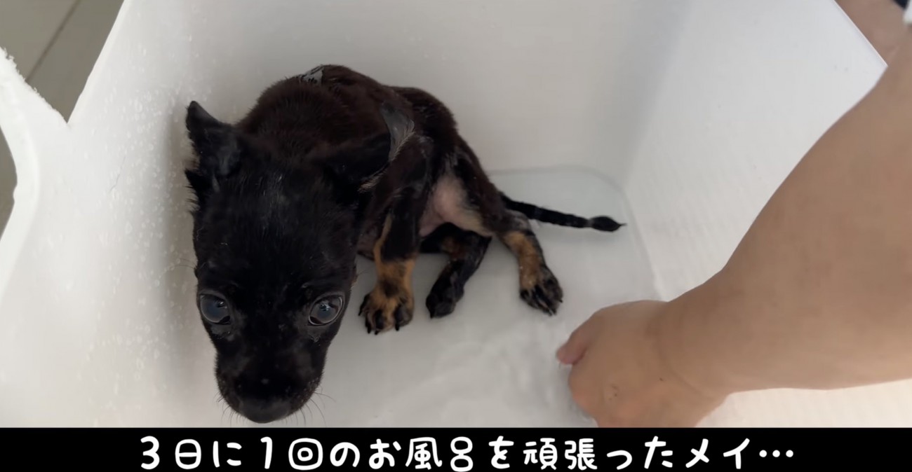 治療、頑張りました！