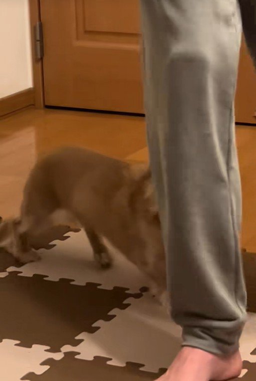 お説教が終わると…