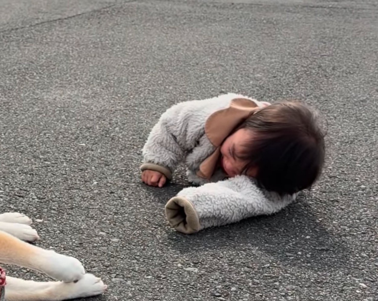 地面に這いつくばる女の子