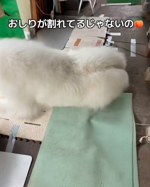 見事な桃尻に！！