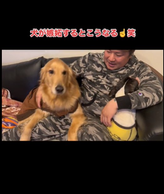 腕の中に入る犬2