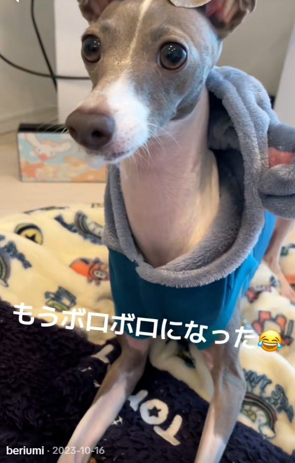 破壊神うみちゃん