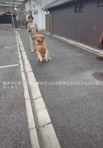 「お兄ちゃんに違いない！」