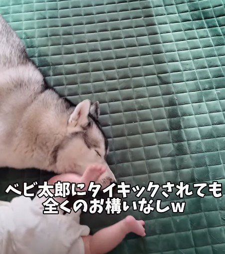 蹴られても気にしない！