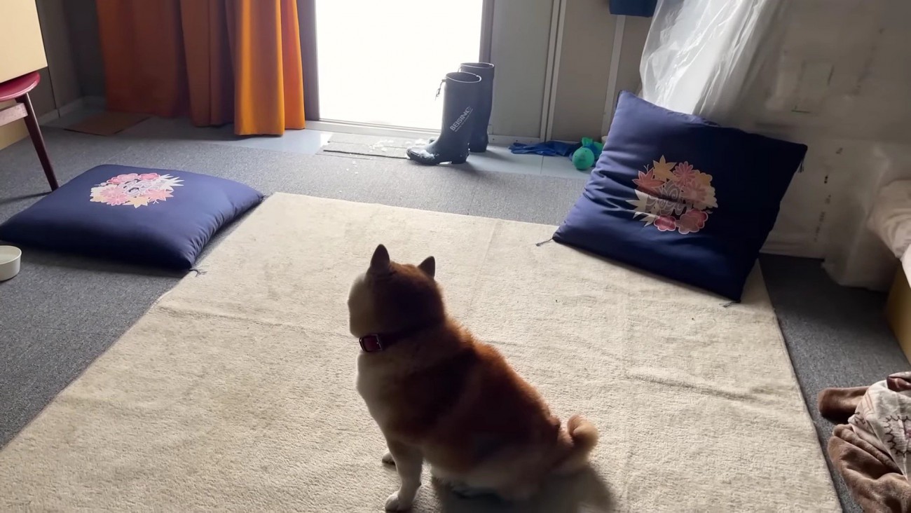 のんびり過ごした