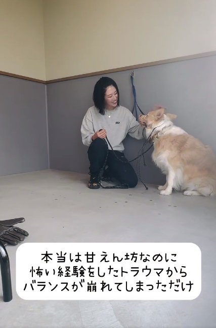 甘えん坊なそらくん