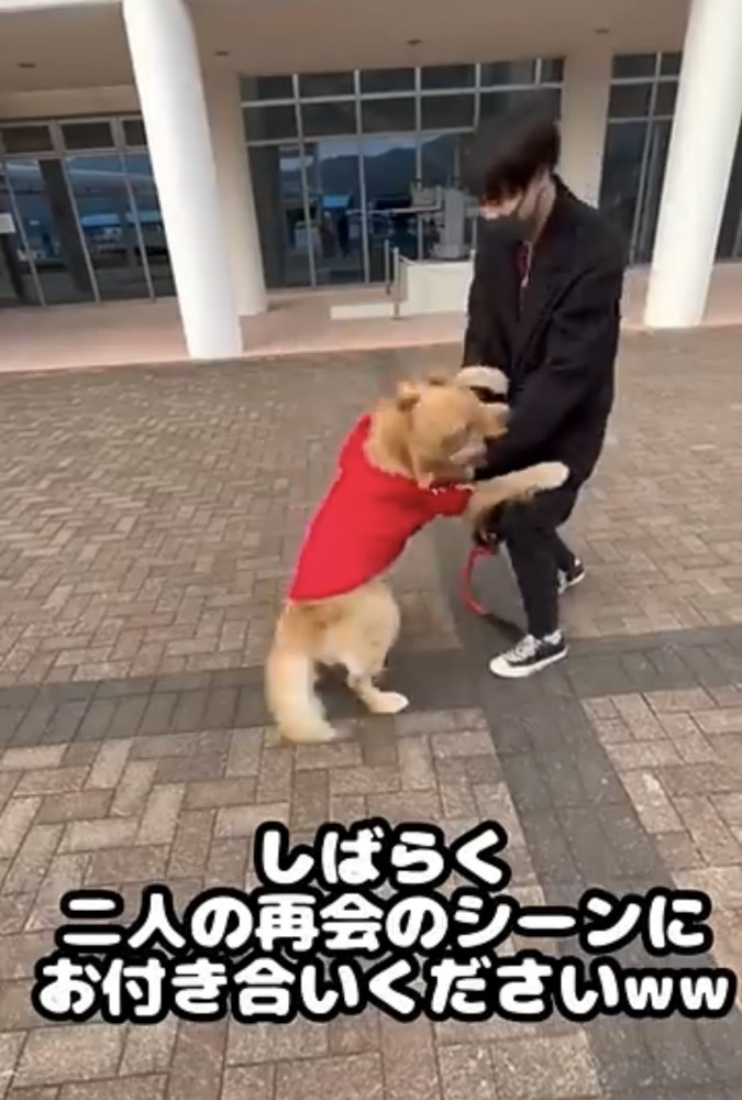 男性に前足をかける犬
