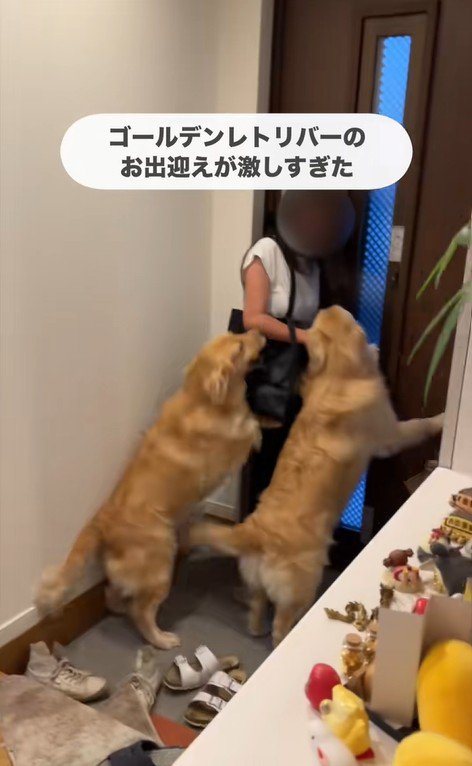 ちあちゃん＆ひまわりちゃんの熱烈歓迎