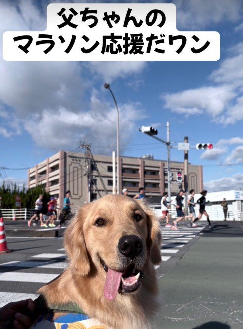 マラソン応援に行くことも♪