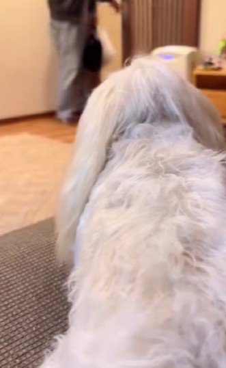 奥様からご主人への贈り物…