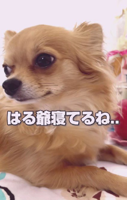 ずっと寄り添っていた