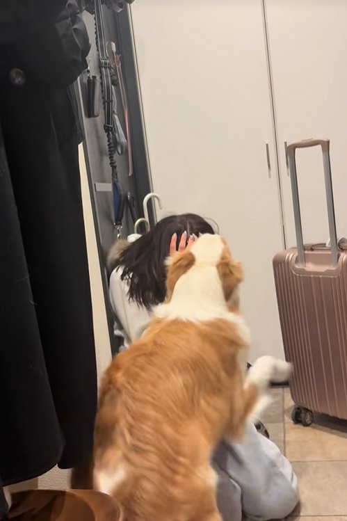 飼い主の姉の顔を舐める中型犬