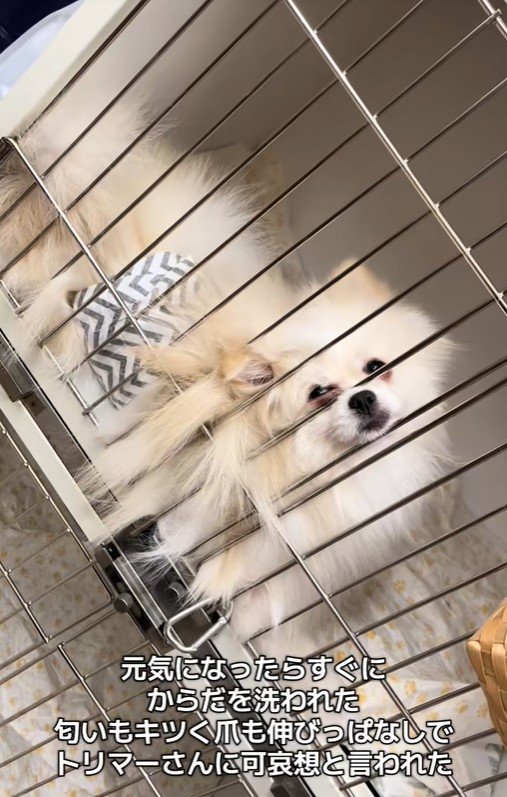 木ノ葉丸くんとの出会い6