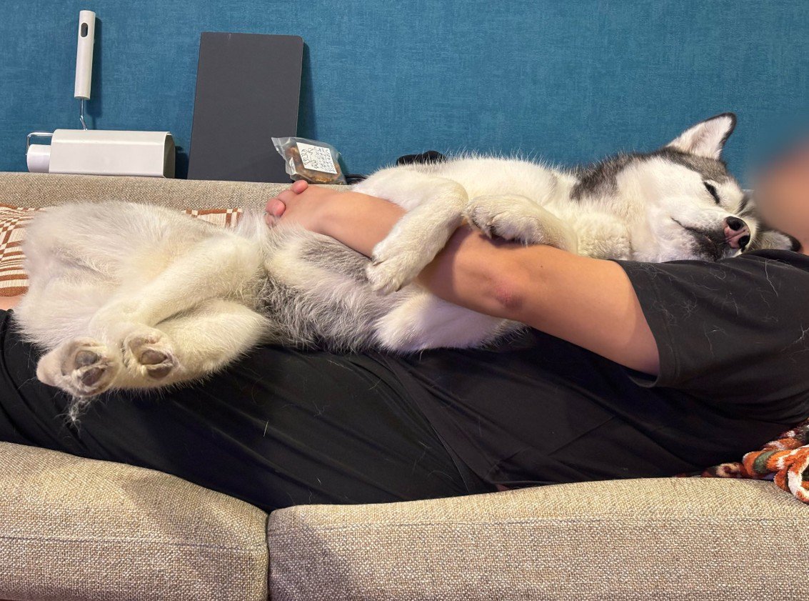 お腹の上でウトウト…♪