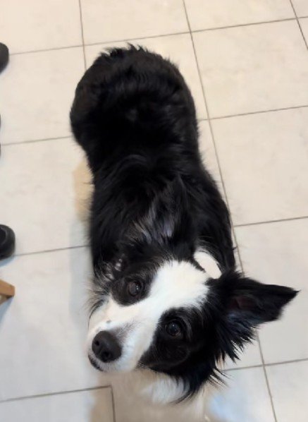 「また会えるかな？」